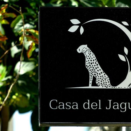 Casa Del Jaguar Beach Hotel Isla Mujeres Dış mekan fotoğraf